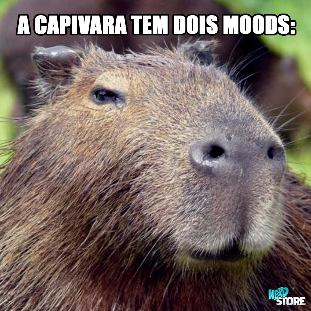 Capivara meme 