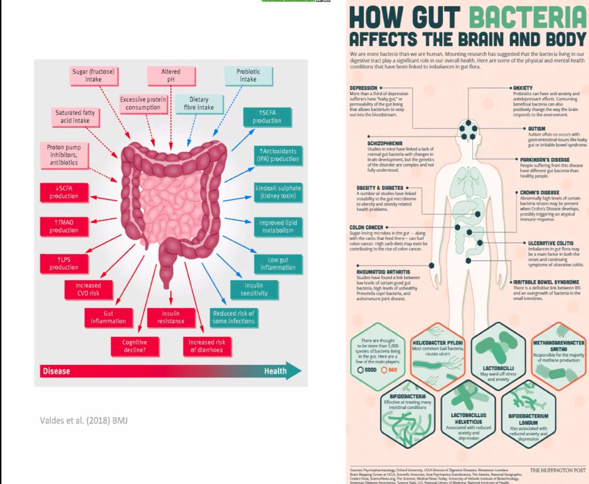 ina_deutschmann's tweet image. I really enjoyed listening to Tatiana Marquez-Lago at #SMB2020 talking about #MathematicalMethods for #Microbiome research