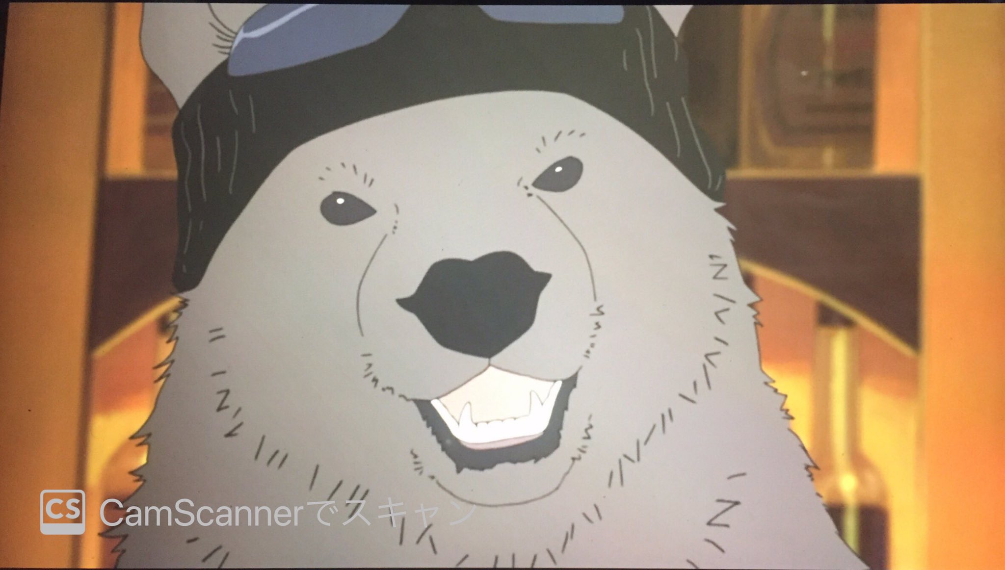 森木 靖泰 更に続いて しろくまカフェ を視聴 グリズリーさんのバーの常連になりたい T Co Opbnlhpwhh Twitter