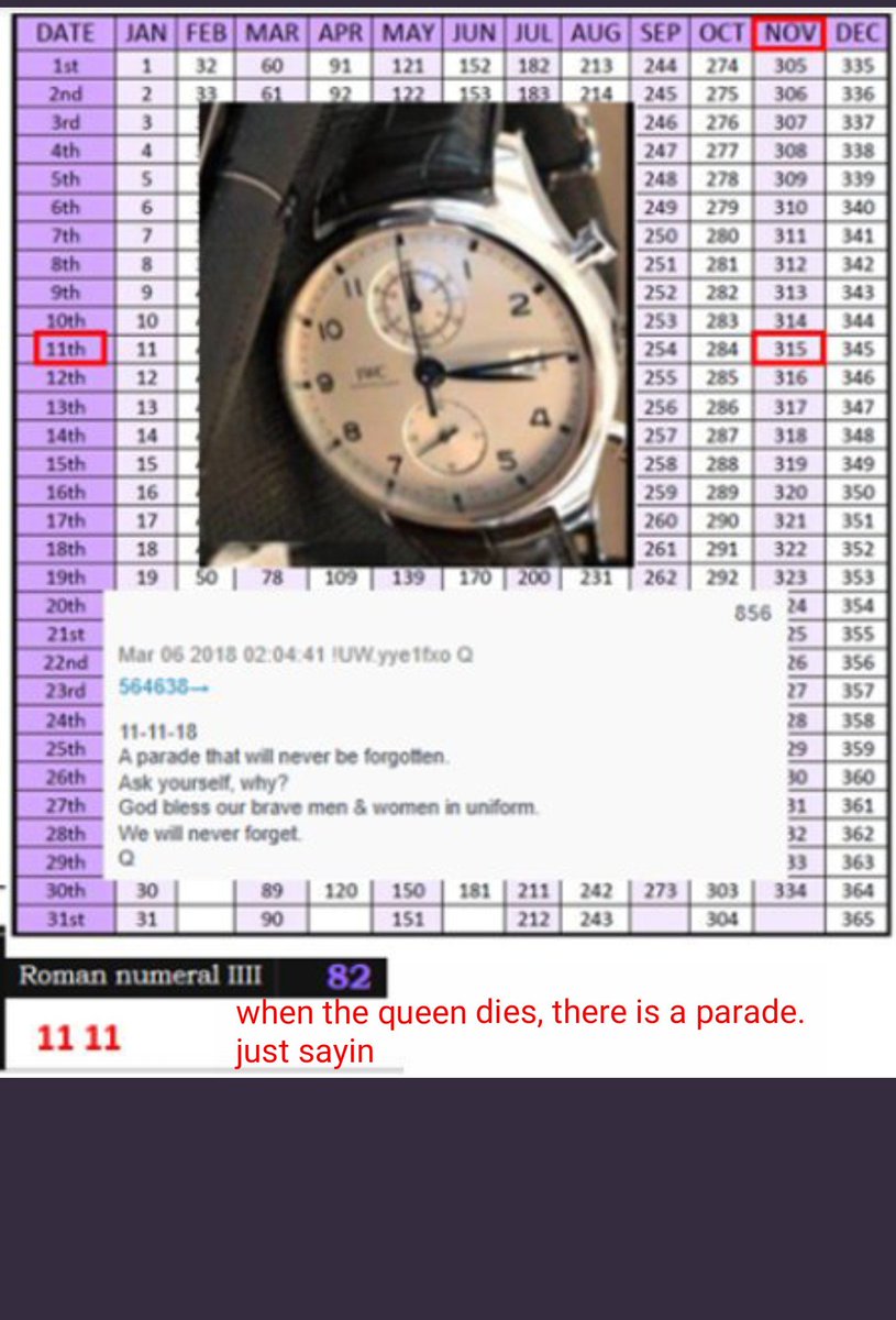 And this one. I just saw Rudy has insurance working a decode this morning.Insurance policy.11/11=3:15 https://twitter.com/LovesTheLight/status/1198829704892928000?s=19