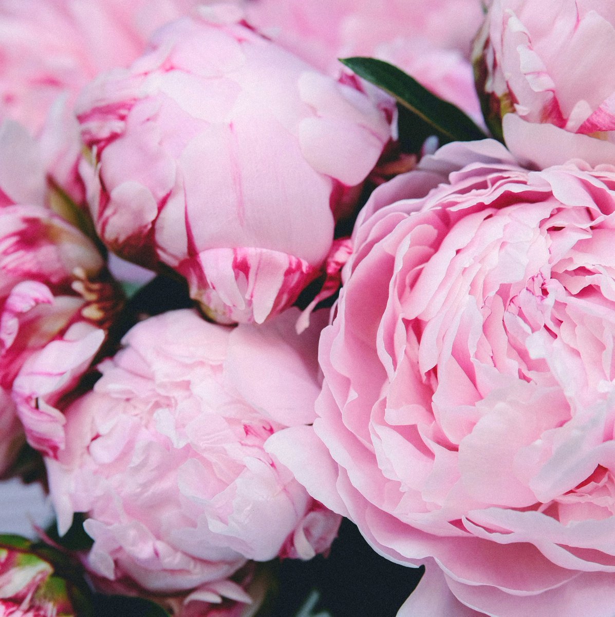 💕⁠ Happily Ever After 💕⁠

Get in touch for more details on our 2021 wedding package 💕⁠
⁠⠀⁠
📞01282 841148⠀⁠
✉️ weddingsandevents@thorntonhallcountrypark.co.uk⁠