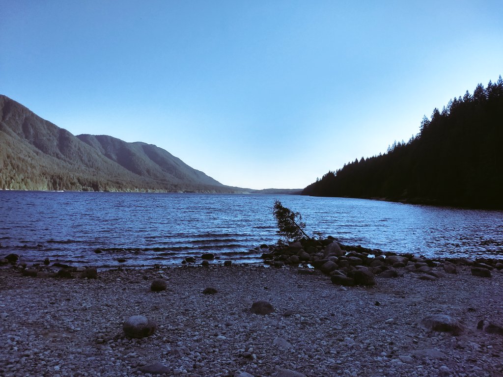 iamvats09's tweet photo. #Alouettelake #mapleridge https://t.co/FY4jr7FMa1