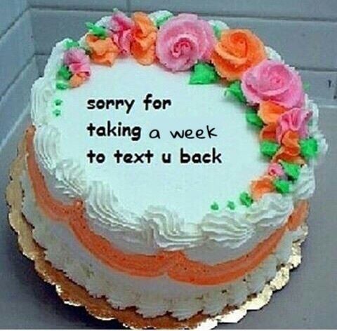 Minto Jam tweet media