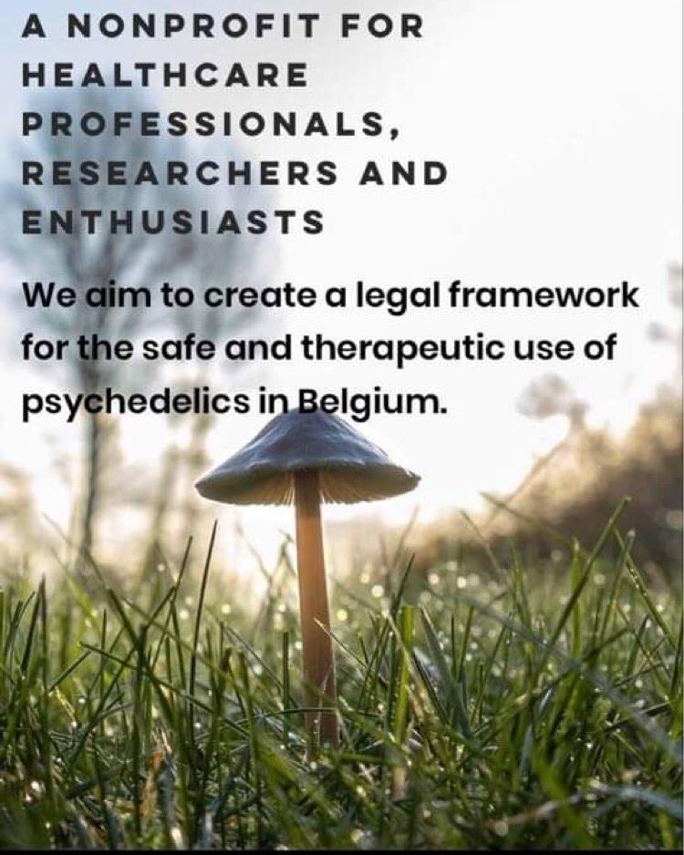 The launch of Psychedelic Society Belgium is a fact! 🚀 psychedelicsocietybelgium.org