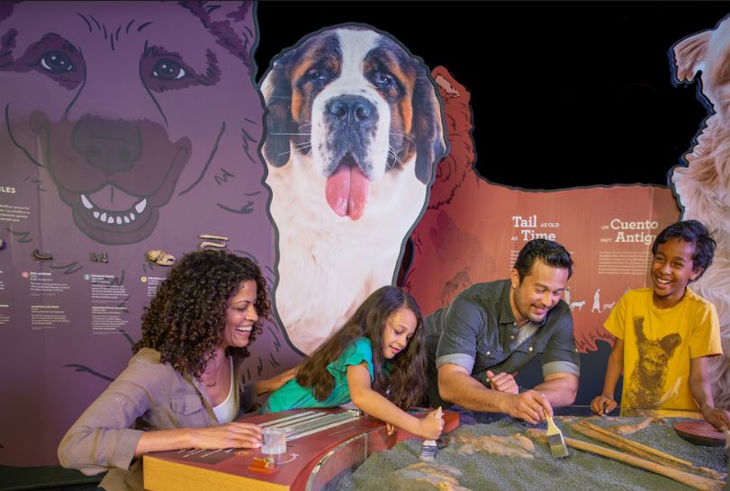 milehighmamas's tweet photo. 2020 has already gone to the dogs so why not make it official? Check out @DenverMuseumNS's new exhibit "Dogs! A Science Tail." https://t.co/zaIcv6urqH https://t.co/wA6HUlvqoy