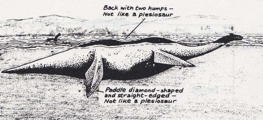 Palaeontologists John Martin and Mike A. Taylor had fun with this idea in their 1990 book on  #plesiosaurs…