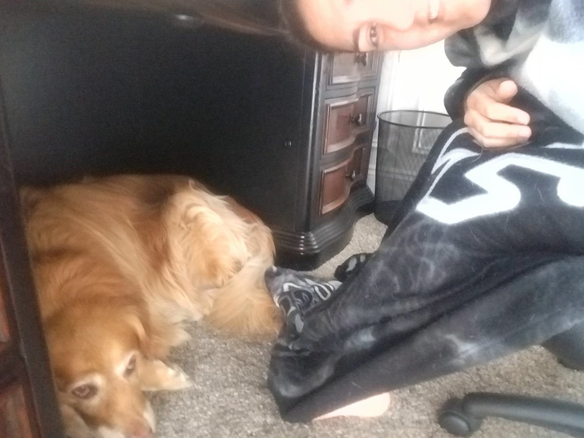 coricamRUN's tweet photo. Didn't want Sammie to be hot so the AC and ceiling fan are on and I'm now wearing my Snuggie to stay warm while working. @OriginalSnuggie #snuggie #lovemydog https://t.co/2qQqNXDQ7l