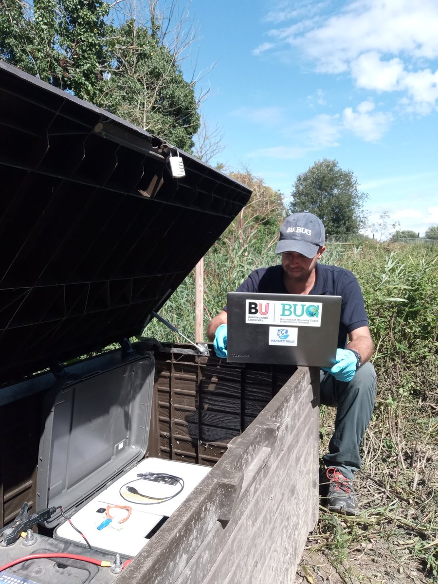 Dr Catie Gutmann Robert tweet media