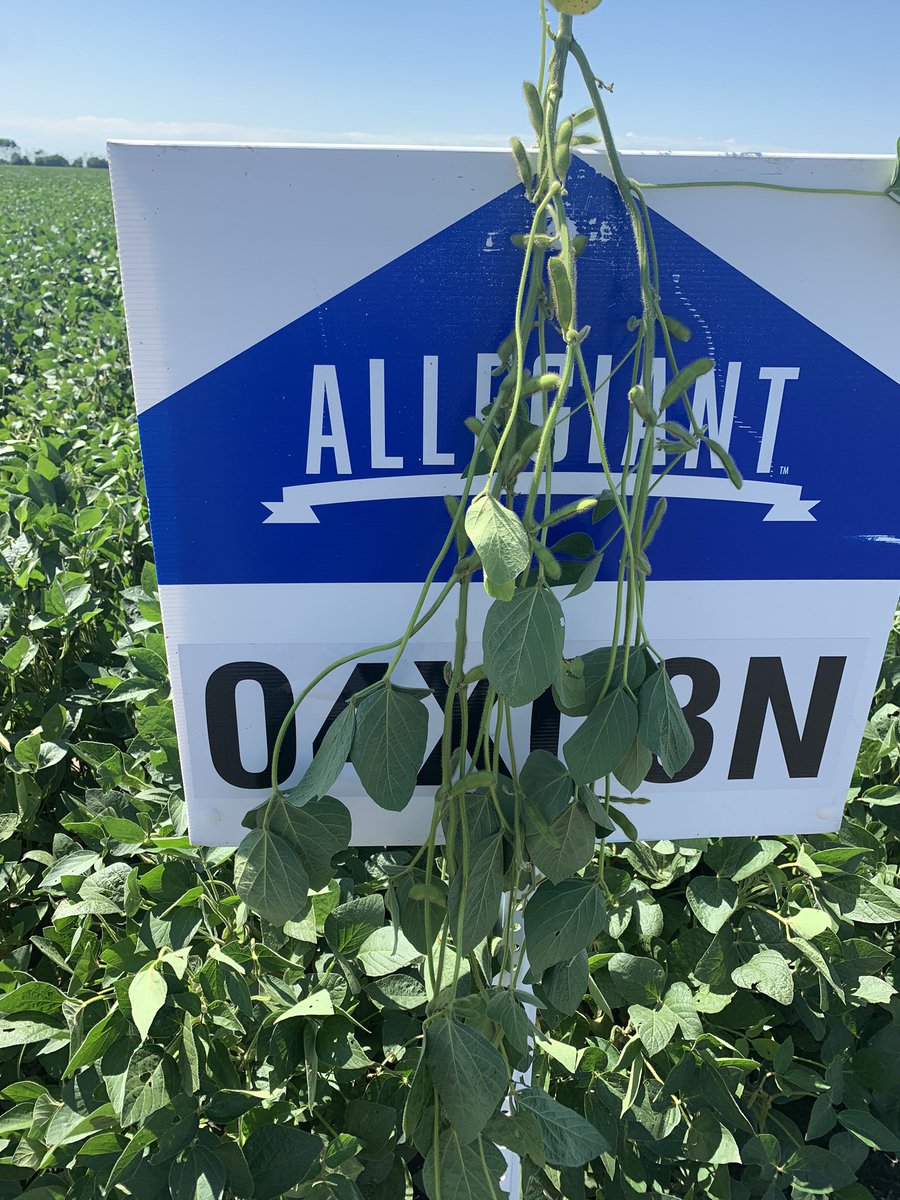 Todd Sommerfeld tweet media