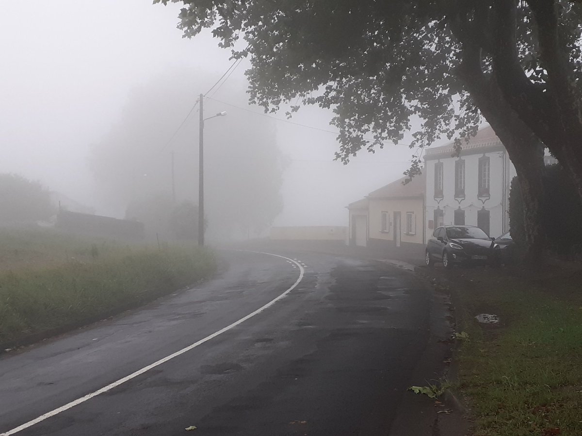 São Miguel, which has milder accents but with local variation (as it is the bigger island). Ponta Delgada's, the most connected place with the continent and the largest town, has the milder accent of them all.I am pretty sure that the existence of local accents maps well...45/n