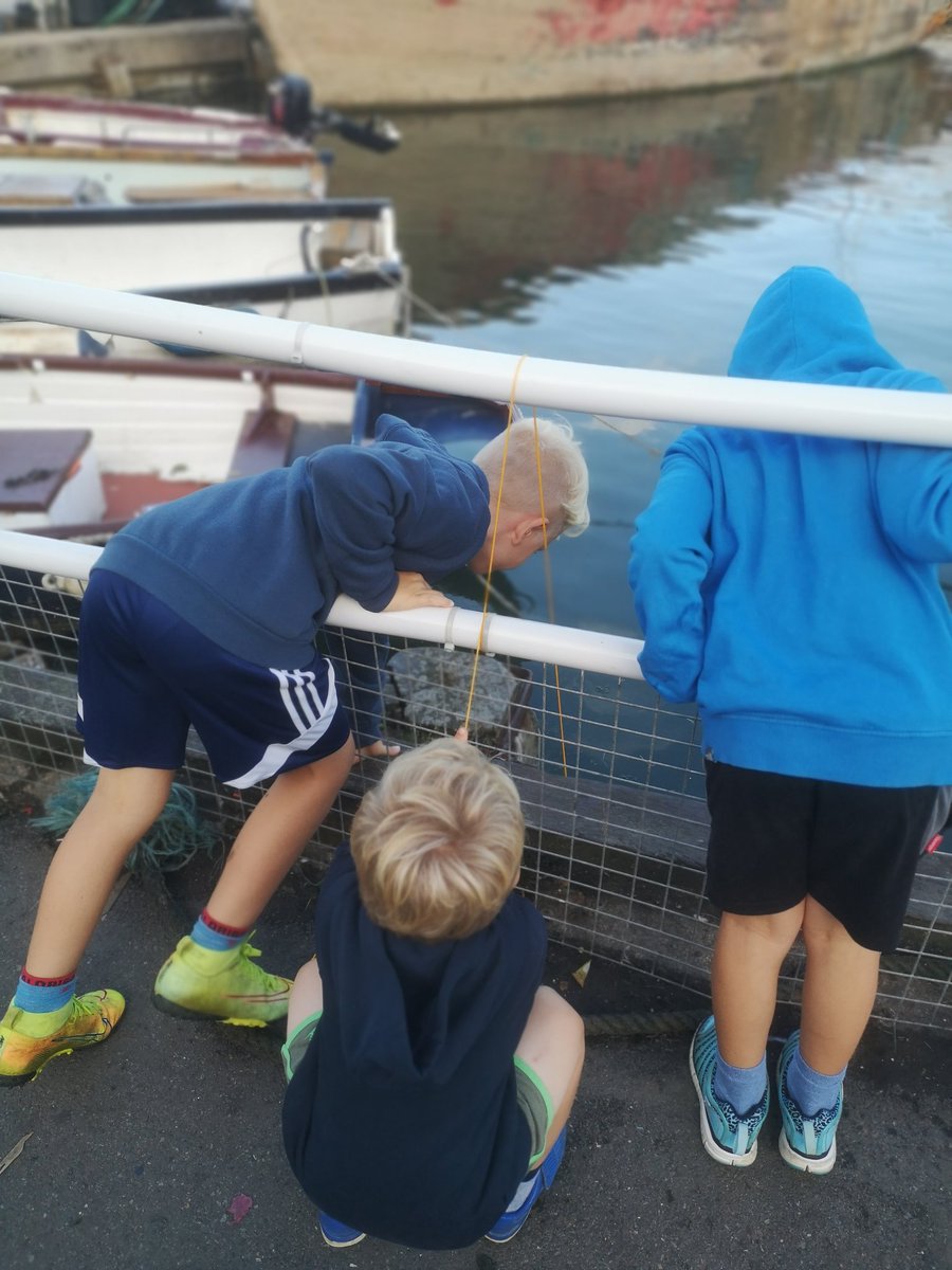 TCHampers's tweet photo. When in Devon.... We spot @design_bean awesome work for https://t.co/hzHB1qzWMs
We also do a spot of crabbing, 41 in total, and eat ice cream of course! 🍦
#Brixham #Devon #designwork #topjob #looksfab #Summer2020 #crabbing https://t.co/ysy3bNsquW