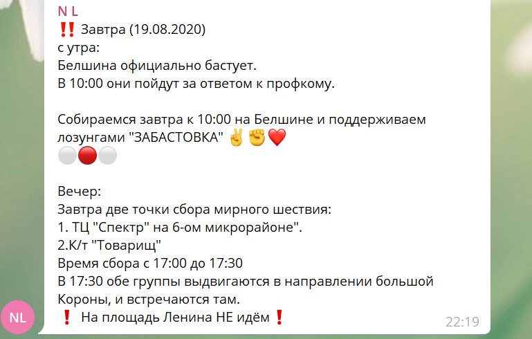 -All groups were moderated by anonymous administrators - everyday leaders of the movement-Groups were autonomous – each locality decided what to do next on their own-Large Telegram channels are umbrellas for the movement, broadcasting key messages and coordinating groups