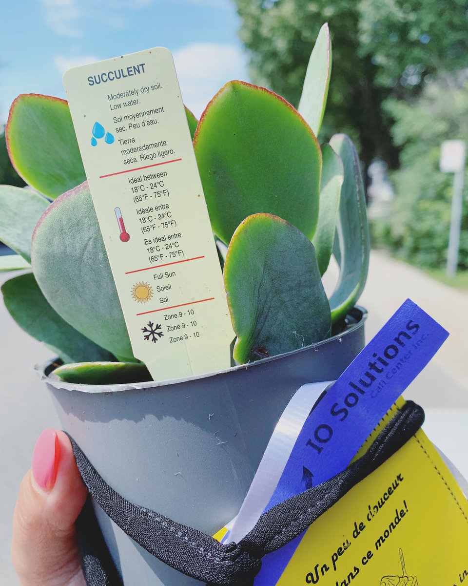 iosolutionsca's tweet image. Did you water your succulent plant since you got it? Instructions in the picture above! 💦🌱 Avez-vous arrosé votre plante &apos;succulente&apos; depuis que vous l&apos;avez? Instructions dans l&apos;image ci-dessus! #clubsocialios #teamiosolutions