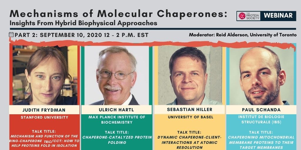Have you registered yet for our upcoming webinar? Check our website for more information and register today!

proteinsociety.org/page/webinars