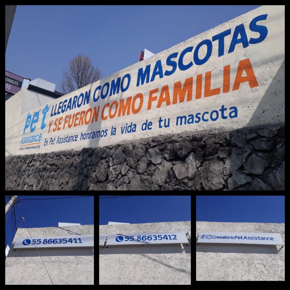 Fixer_Media's tweet photo. Rotulación de logotipo, textos y números sobre barda 👨🏻‍🎨 para sucursal Pet Assistance en Tlalpan.

#FixerMedia #PublicidadExterior #JealphaMedios #Rotulacion #RotulacionBarda #Pintor #Artista #Rotulo #BardaPublicitaria #Mercadotecnia #Publicidad #Marketing #CambioDeImagen https://t.co/AeIRoJXKs4