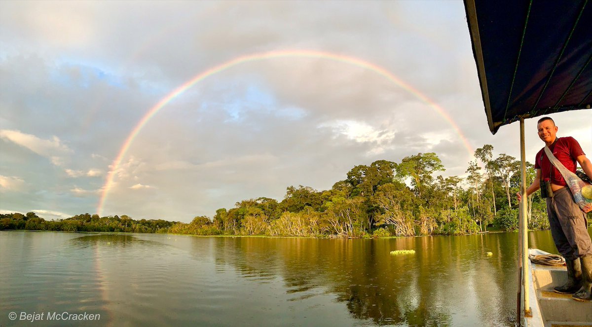 eden_amazon's tweet photo. Bienvenidios! We are open for business and Nixon is ready as your personal guide. We offer the perfect #socialdistancing #vacation experience with your own spacious cabin, hikes in the #rainforest, canoe experiences, and much more.
#Rainbow #Adventure
#Conservation #EcoTourism https://t.co/Nl8rz1UPq5