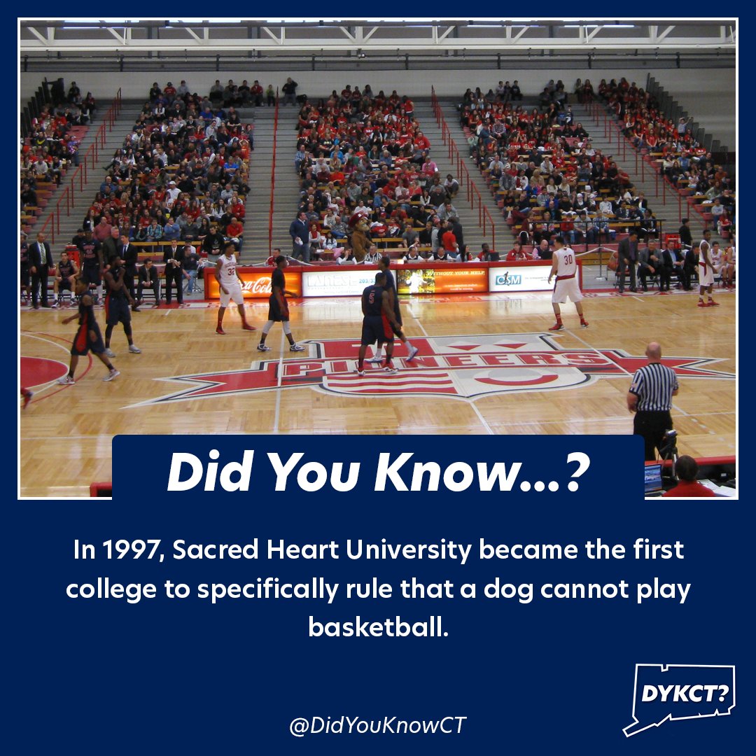 didyouknowct's tweet photo. Did You Know that @sacredheartuniv was a pioneer in adapting to new challenges in college sports?

#CTFacts #FunFaCTs #SportsFacts #HeSits #HeStays #HeShoots #HeScores https://t.co/7G2ikVr2zi