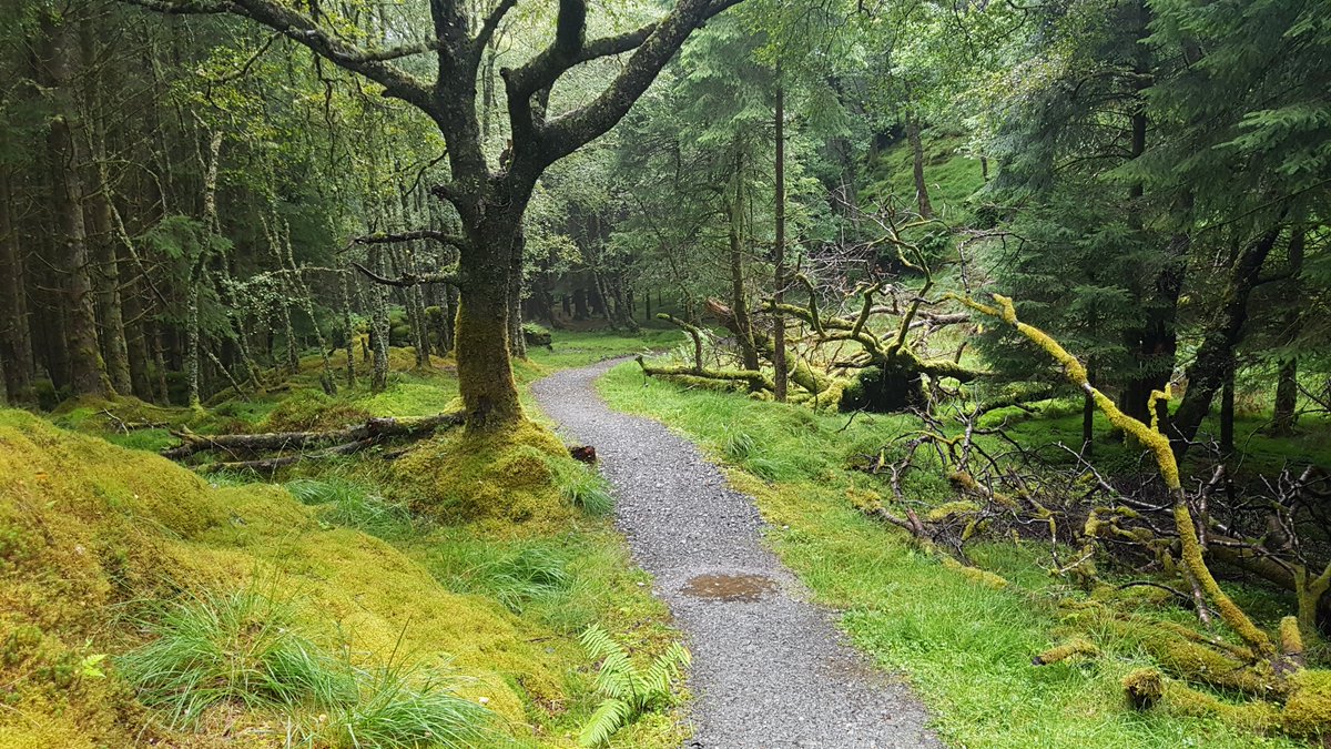 cornish_jack's tweet photo. One of most beautiful, rather gruelling and certainly the wettest of my walk from Land's End to John O'Groats three years ago. Including over falls at Inversnaid - "darksome burn, horseback brown".
#LEJOG2017 #Scotland
Day 81: Drymen to Inversnaid (22.40m)
https://t.co/gZRlhD6Cse https://t.co/WgeiLpqoBu