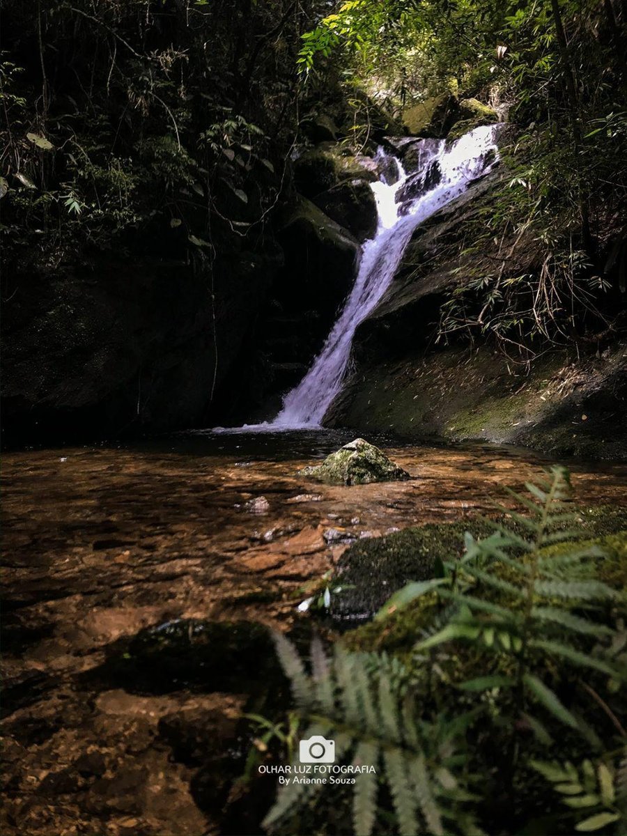 PousadaArcadia's tweet photo. Linda sequência de cliques, das cachoeiras das trilhas do Bonfim, feitas pela competente @ArianneSouzaaa 📸🌄❤
#itaipavarj #serracarioca #suacasanaserra #cidadeimperial #regiãoserrana #pousadaarcadia https://t.co/p3fbowrmwK