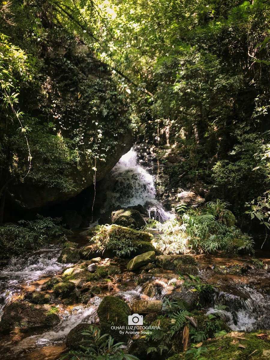 PousadaArcadia's tweet photo. Linda sequência de cliques, das cachoeiras das trilhas do Bonfim, feitas pela competente @ArianneSouzaaa 📸🌄❤
#itaipavarj #serracarioca #suacasanaserra #cidadeimperial #regiãoserrana #pousadaarcadia https://t.co/p3fbowrmwK