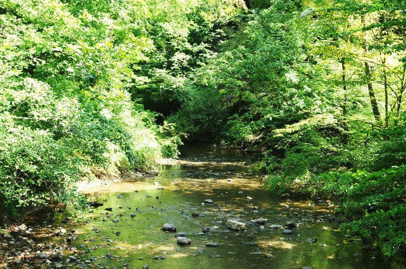 collegiate4hosu's tweet image. Two photos today! Sorry about not posting one of these beautiful pictures from another gorgeous campsite from around Ohio yesterday! Continue to comment your guesses below ⬇️.