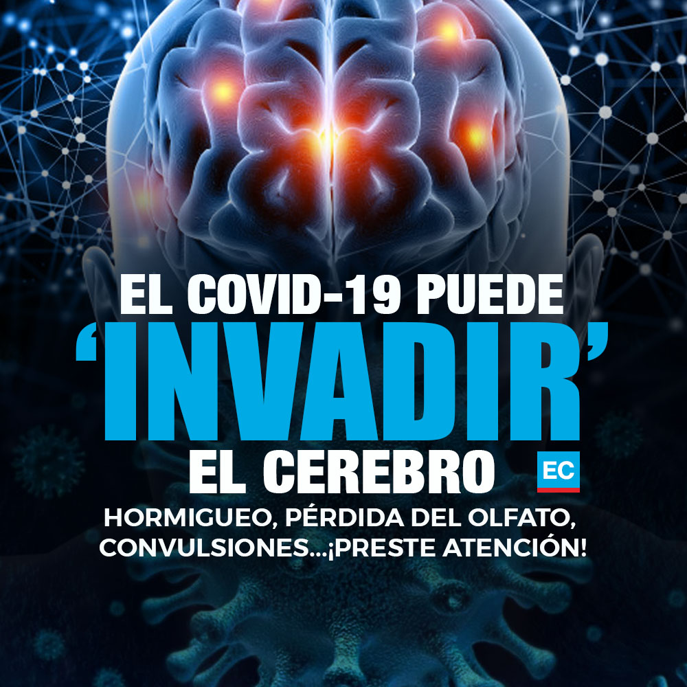 #ATENCIÓN | Descubren que el #covid19 puede traspasar la barrera hematoencefálica que protege al cerebro. ¿Qué significa? » bit.ly/CerebrCoronv