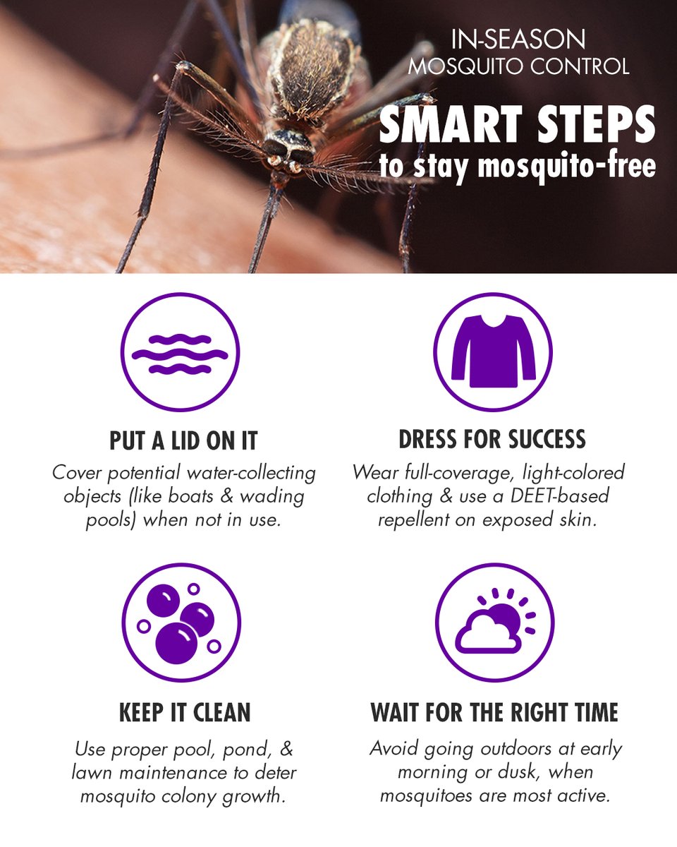 DynaTrap® tweet media