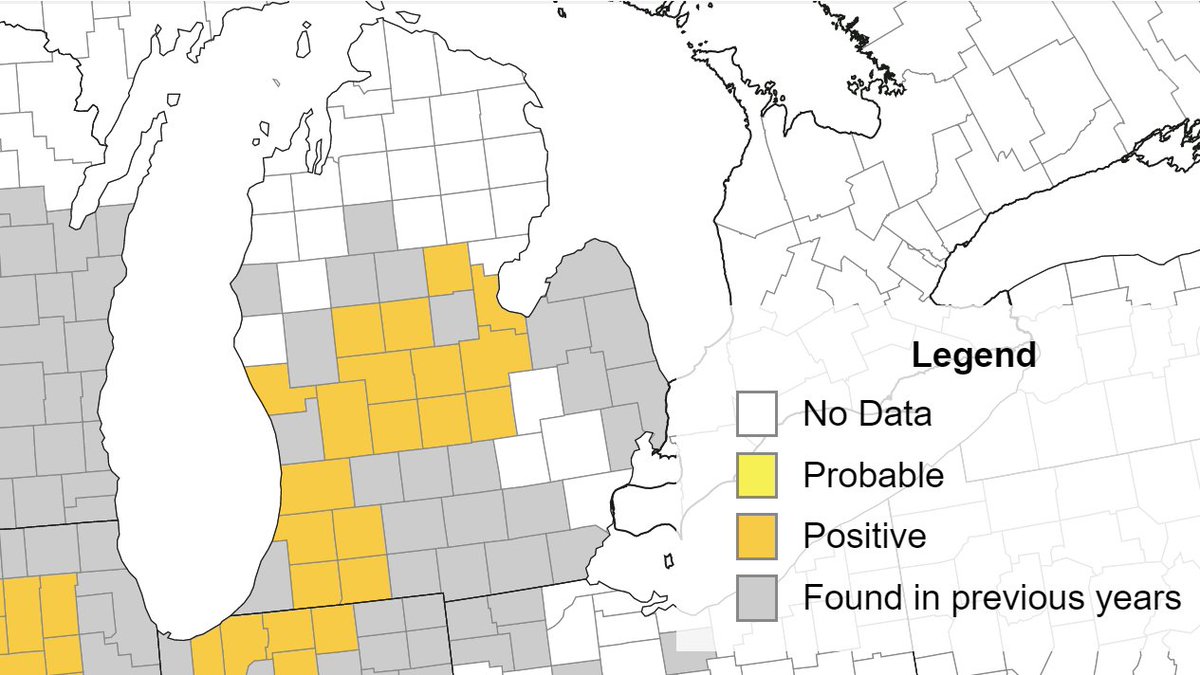 Martin Chilvers tweet media