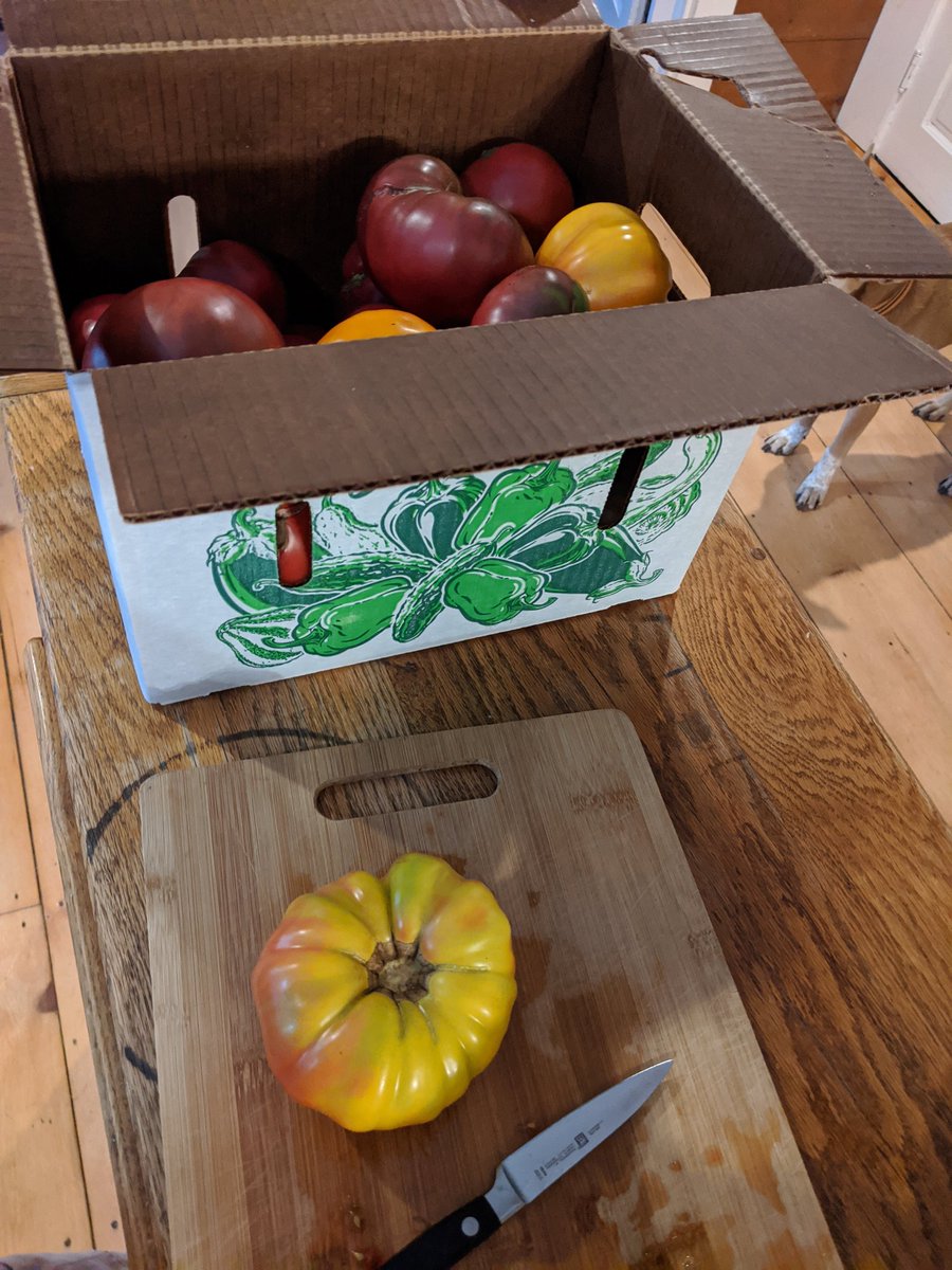 Picked up a couple boxes of seconds from our CSA farm. Canning sesh begins.