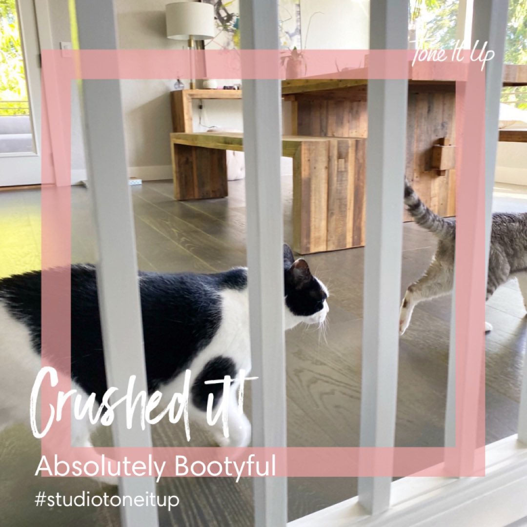 xomaggiebattles's tweet photo. Going to work out every day for 30 days until my 36th birthday (& beyond!) #studiotoneitup #toneitupcheckin https://t.co/xzRbMbUtYQ