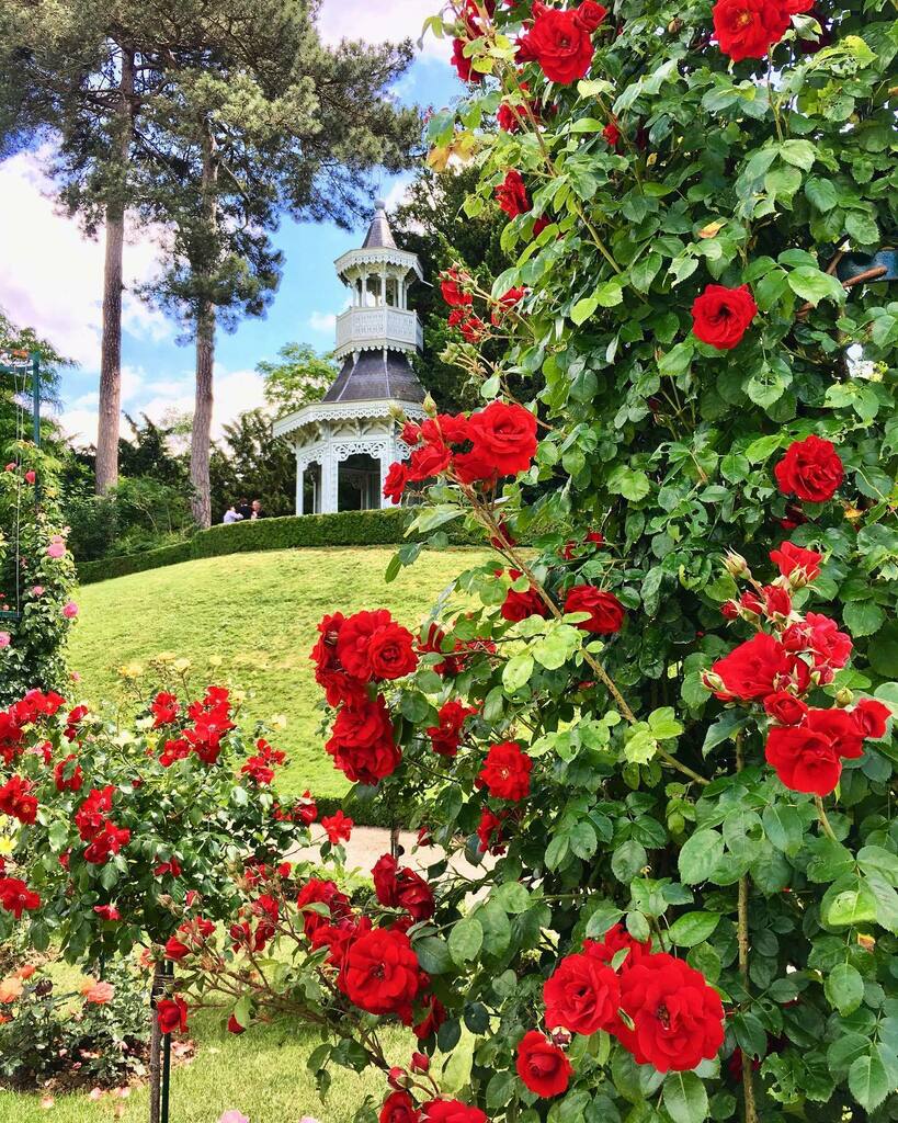 FallingOffBikes's tweet image. // My favorite park in Paris... 🌹🌹🌹 and I’m due to go back. It’s a bit of a trek at the edge of the city but so worth it. The rose garden is to die for. 📍 Save this for your next trip to Paris. instagr.am/p/CECuM7kAv-5/