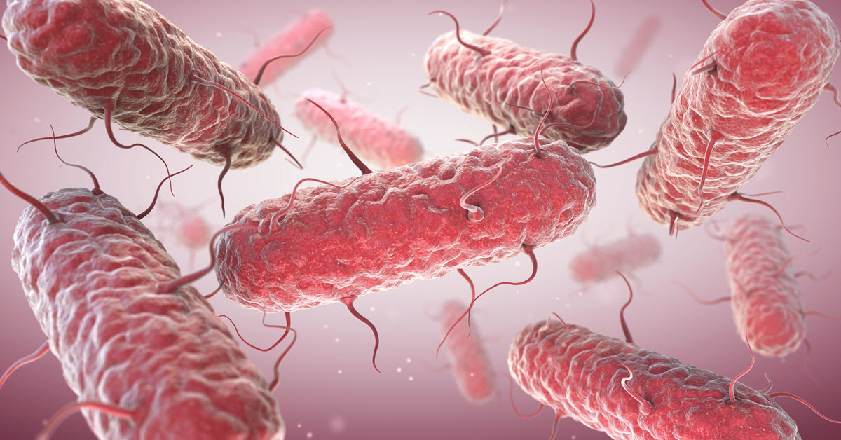 Join us on August 27 for an engaging #webinar on #AntimicrobialResistance and the importance of detecting ESBL-producing organisms. Clinical #Microbiology professionals won’t want to miss it! Register here → bit.ly/3aJ1Z5W
