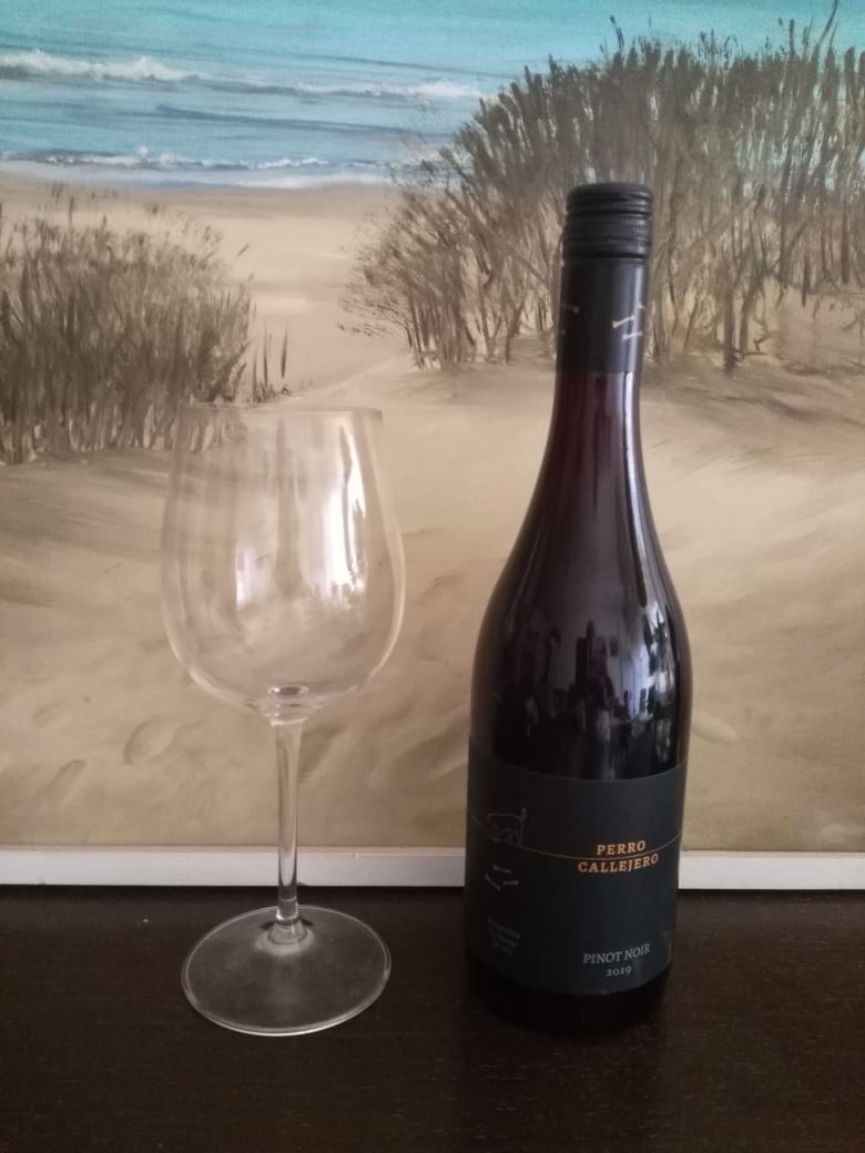 Presentación virtual en el Día Internacional del Pinot Noir, de Perro Callejero Pinot Noir cosecha 2019 de <a href="/MMwines/">Mosquita Muerta</a> 
Un proyecto de Familia Millán, fundado en 2009
