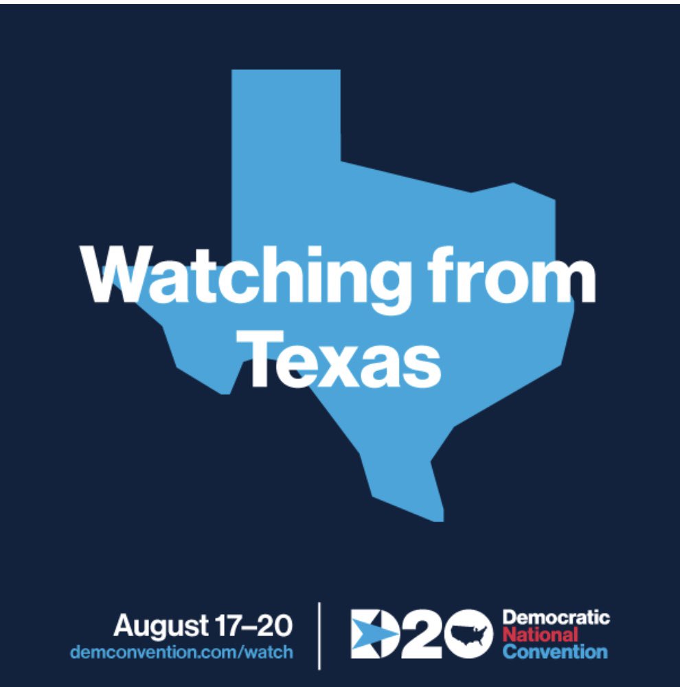 RepJoeDeshotel's tweet photo. I am proud to be a Delegate to the Democratic National Convention and cast my vote for Joe Biden and Kamala Harris #DemConvention https://t.co/wcCxqQHNqQ