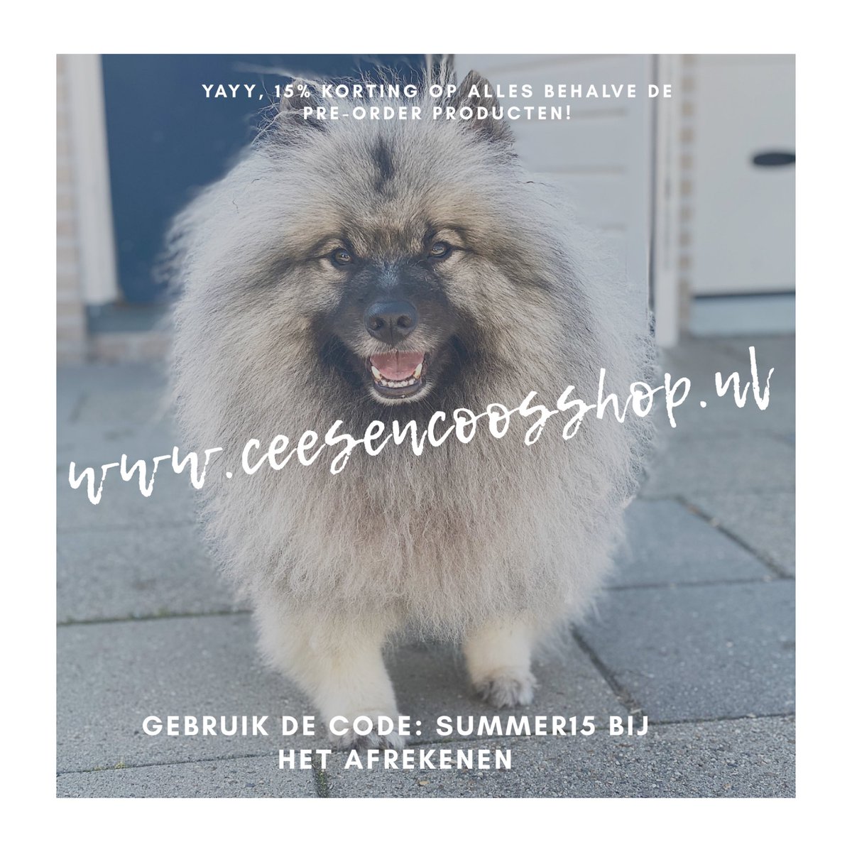 15% korting op alles !🥳 (pre-order producten zijn uitgesloten van deze actie) ceesencoosshop.nl
