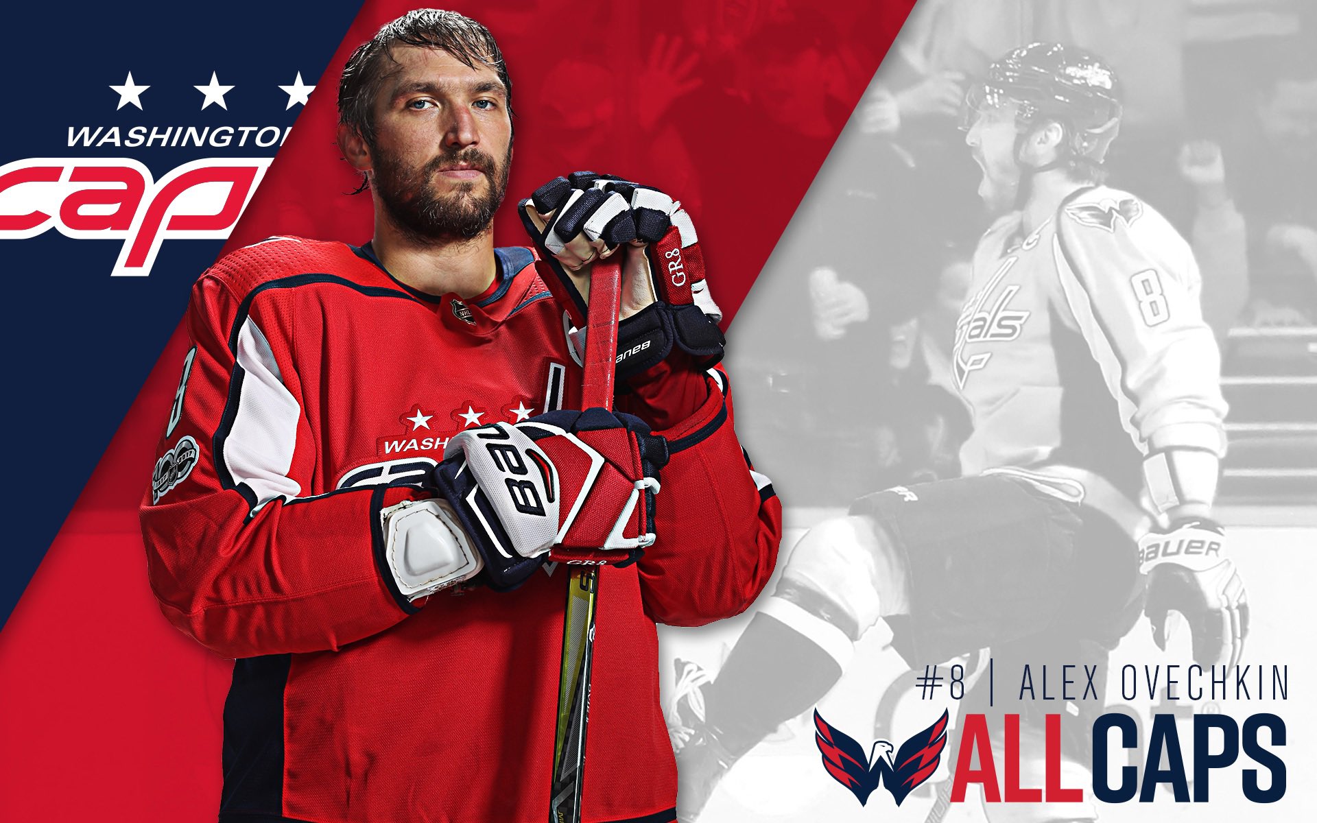 Washington Capitals обои