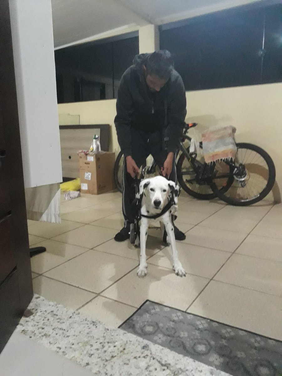 birobis's tweet photo. Pra sempre conosco em nossos corações meu amor dorme bem descansa em paz agora você passou por muita coisa já https://t.co/01UGzQyVzE