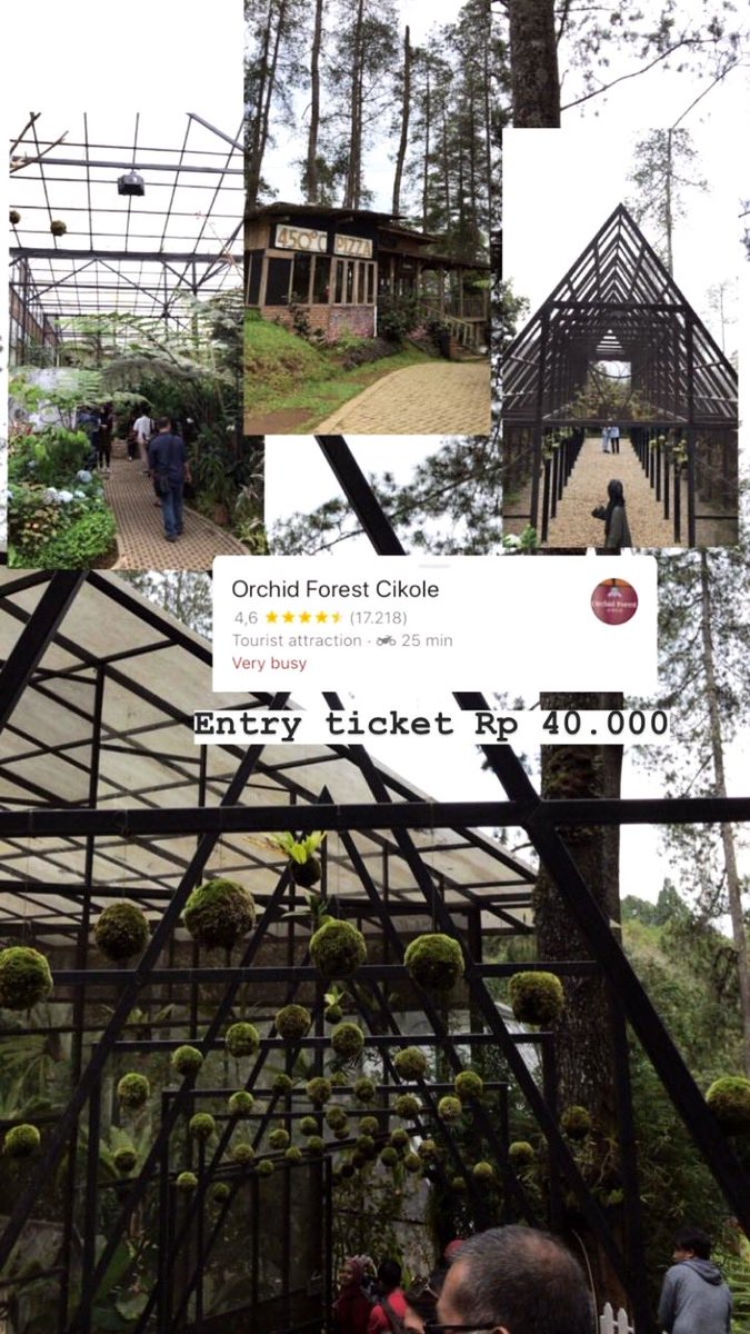 - Orchid Forest Cikole Tujuan berikutnya yaitu liat anggrek, yeay! Disini surganya anggrek dan banyak spot instagramable guys, cocok banget deh buat yang suka foto-foto. Aku sangat merekomendasikan tempat ini. (2 pict source : orchidforestcikole on instagram)