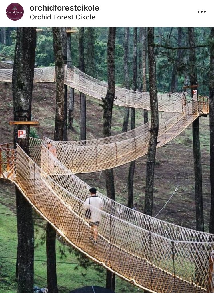 - Orchid Forest Cikole Tujuan berikutnya yaitu liat anggrek, yeay! Disini surganya anggrek dan banyak spot instagramable guys, cocok banget deh buat yang suka foto-foto. Aku sangat merekomendasikan tempat ini. (2 pict source : orchidforestcikole on instagram)