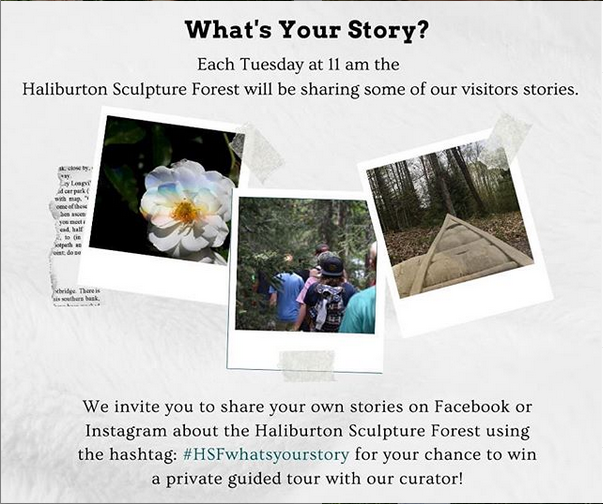 Introducing the Sculpture Forest's newest video project: "What's Your Story?" We invite you to post your own stories on Facebook or Instagram using the hashtag #HSFwhatsyourstory