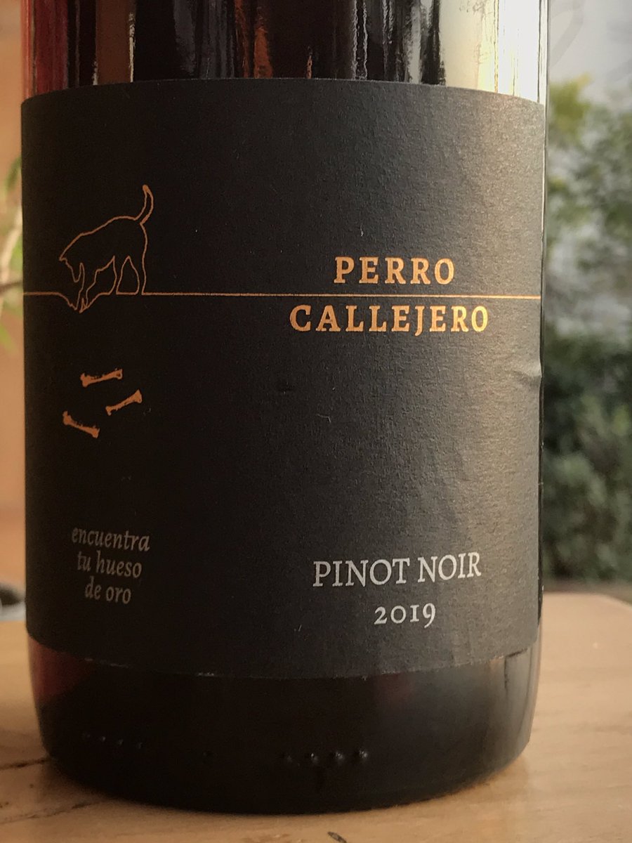 angelyvino's tweet photo. En la presentación de Perro Callejero Pinot Noir 2019, una excelente opción y a buen precio, para probar este varietal, que hoy 18/08 celebra su día. @MMwines @mariselmillan https://t.co/iwCsuYMnns