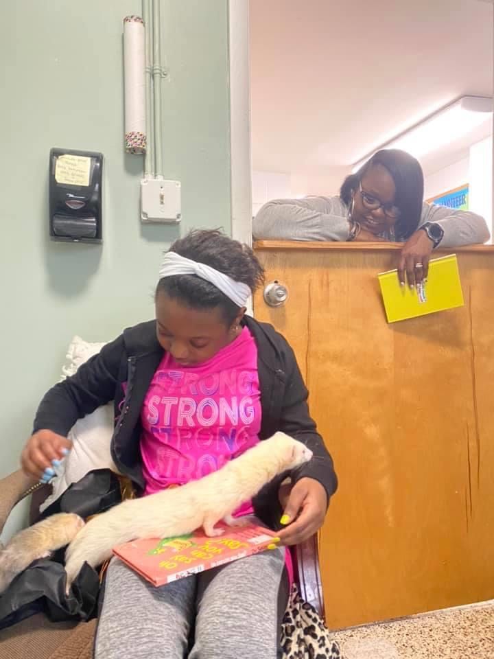 HSGSav's tweet image. Nuzzle Buddies 

Sweet Haley came in today to read to our funny Ferrets￼. Thank you Haley!

Nuzzle buddies 
Tues 3pm-6pm 
Wed 3pm-6pm 
Thurs 3pm-6pm 

Send us an email to schedule your nuzzle buddies session! Mtohm@humanesocietysav.org