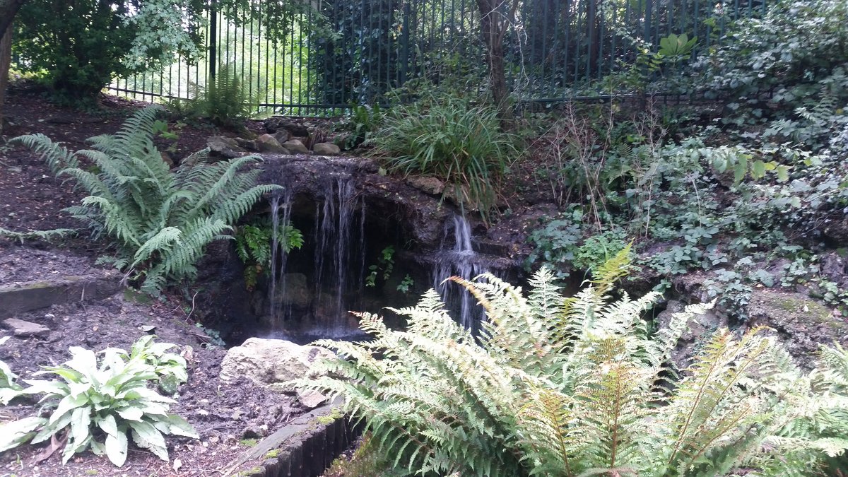Yudit_BZ's tweet image. ...You’ll never change your life until you change something you do daily. The secret of your success is found in your daily routine... By John C. Maxwell #MyPhotos at Stephens House & Gardens #BeautifulPlaces #NatureLovers #RunningMotivation