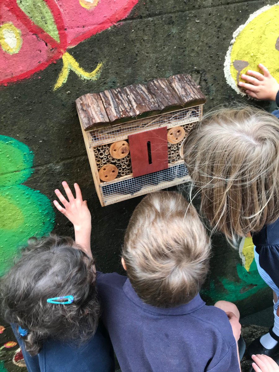 prestonstps's tweet photo. P2 exploring the ‘Bug Hotel’
in the outside area 🍃 🐌 #outsidelearning #naturelovers #superpandas https://t.co/ix13HbXS0Y