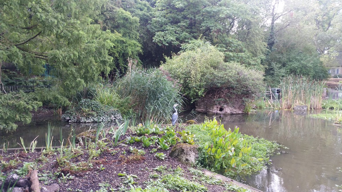 Yudit_BZ's tweet image. ...You’ll never change your life until you change something you do daily. The secret of your success is found in your daily routine... By John C. Maxwell #MyPhotos at Stephens House & Gardens #BeautifulPlaces #NatureLovers #RunningMotivation