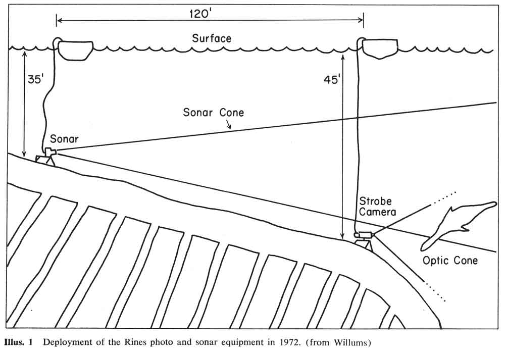 As shown in this diagram used by Roy Mackal, the idea was that an overlapping, fixed ‘sonar cone’ and fixed ‘strobe camera cone’ would record data from any approaching Nessies.