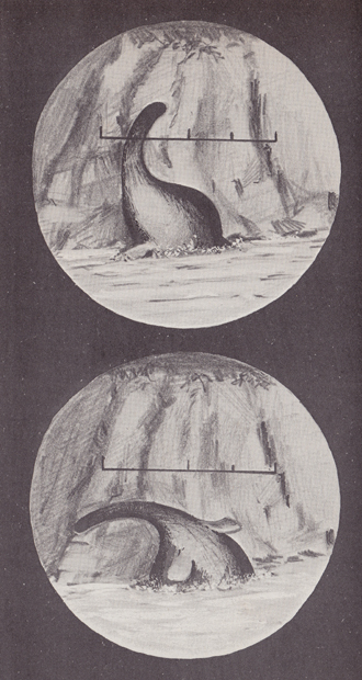 The history of  #LochNessMonster research involves a vast quantity of wishful thinking and over-keen desperation, much of it driven by people who already believe in the monster, and want others to be convinced and converted to the cause too.  #cryptozoology  #monsters  #LochNess