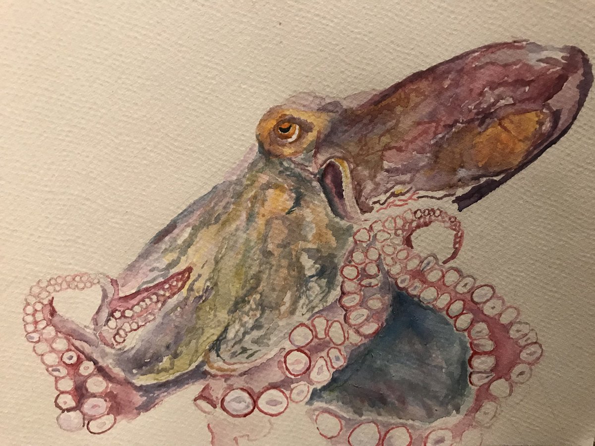 HutchGradSoc's tweet photo. As promised, here is our second amazing entry from @tauamarante (@SerenaNikZainal lab)! 

This entry is titled 'Dive into consciousness' . Thanks Tauanne for this fab work! 

Our daily releases of 'The Art of Science' competition entries will continue tomorrow 🖌️🎨 https://t.co/OP9MQ7o7Xi