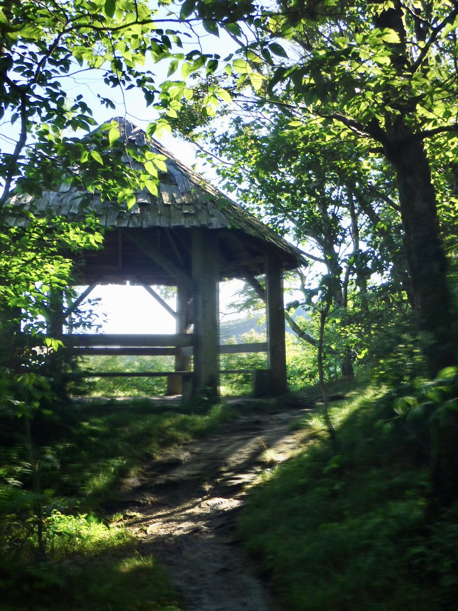 britestack's tweet image. I headed up to explore the Craggy Gardens on @BlueRidgeNPS a couple weeks ago. You can beat the heat, but not the humidity... or the views. #TrailNotes #TrailTeam11 @WJHL11 wjhl.com/community/trai…