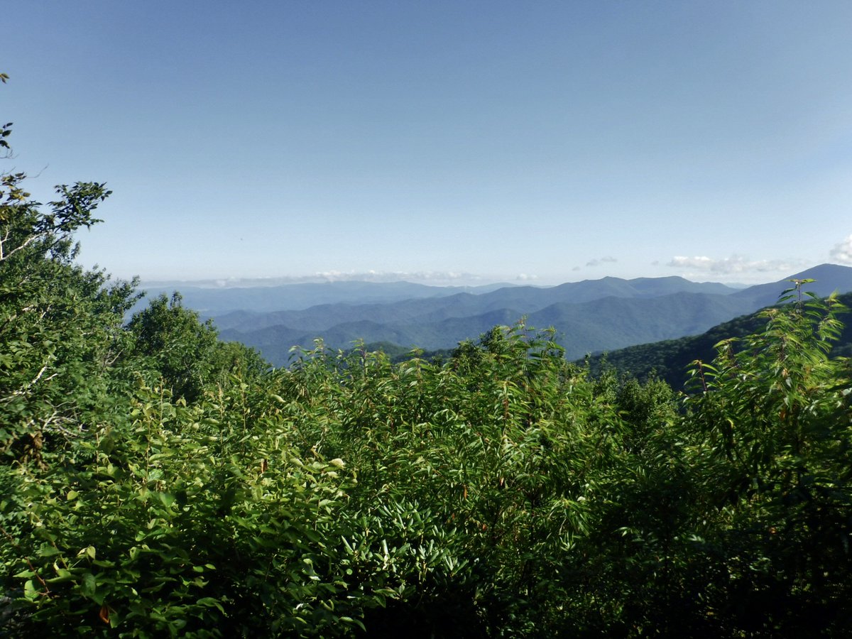 britestack's tweet image. I headed up to explore the Craggy Gardens on @BlueRidgeNPS a couple weeks ago. You can beat the heat, but not the humidity... or the views. #TrailNotes #TrailTeam11 @WJHL11 wjhl.com/community/trai…